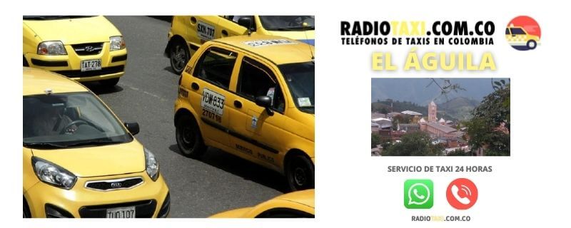 El Águila taxis whatsapp
