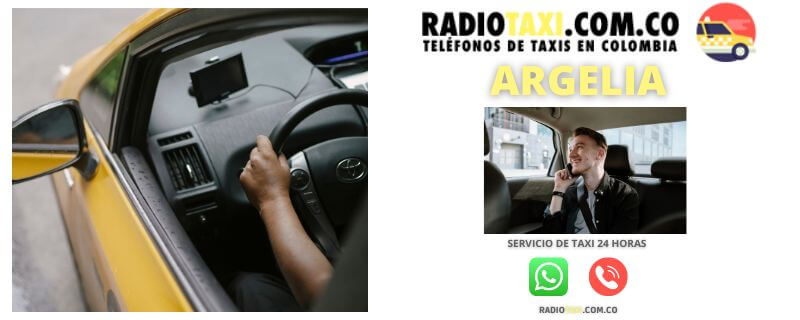 RADIOTAXI PRECIO Argelia