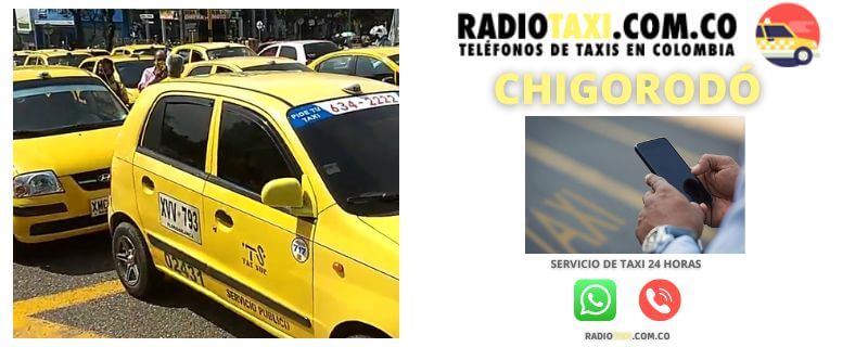 RADIOTAXI PRECIO Chigorodó