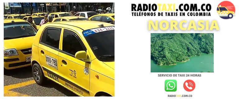 RADIOTAXI PRECIO Norcasia
