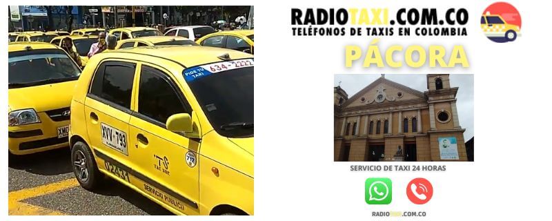 RADIOTAXI PRECIO SERVICIO DE TAXI WHATSAPP Pácora