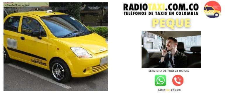Números de Taxis en Peque 10 RADIOTAXI PRECIO peque