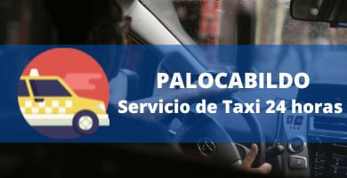 SERVICIO DE TAXI WHATSAPP Palocabildo
