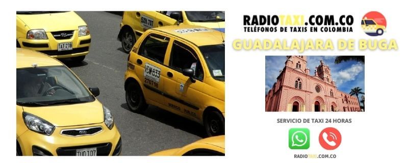 Números de Taxis en Guadalajara de Buga 10 Servicio de Taxis Guadalajara de Buga whatsapp