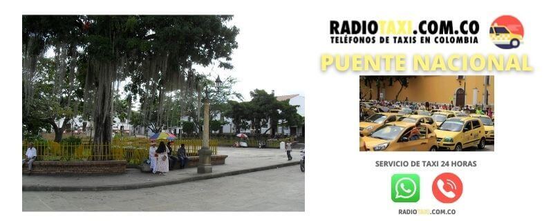 Servicio de Taxis Puente nacional