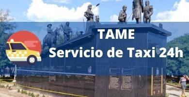 Servicio de Taxis tame