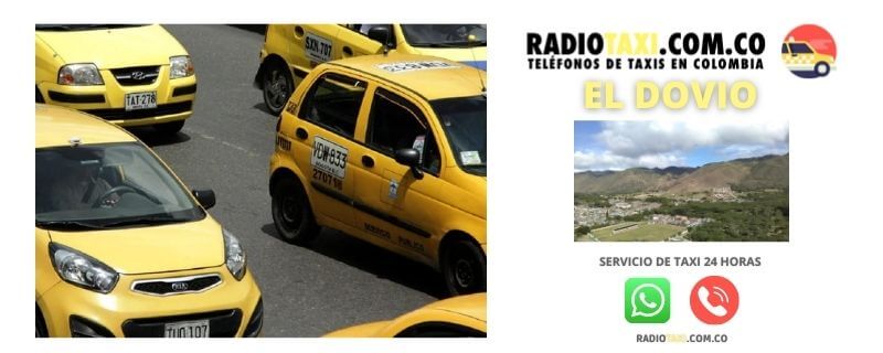 el dovio radiotaxi whatsapp