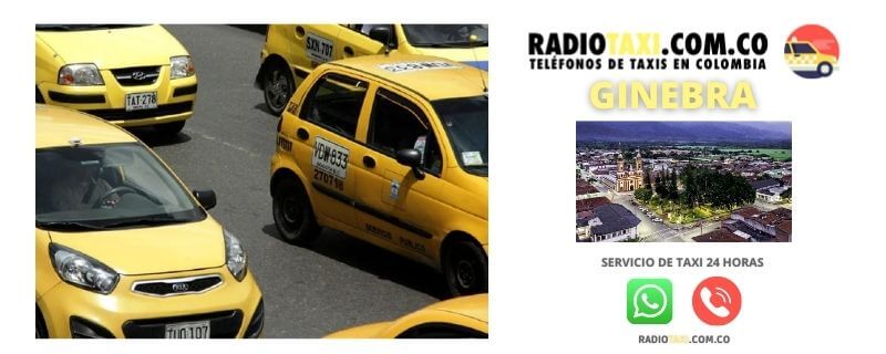 ginebra taxi precio