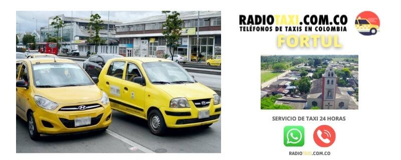 Números de Taxis en Fortul 7 radio taxi Fortul whatsapp