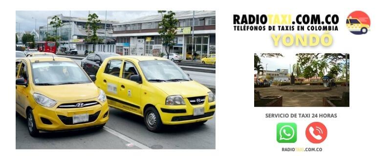 radiotaxi yondo whatsapp