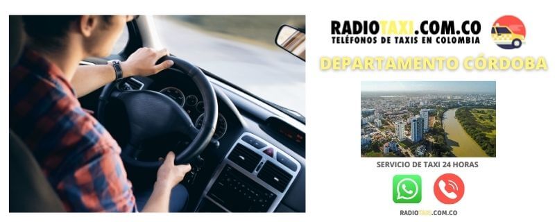 servicio de taxi córdoba