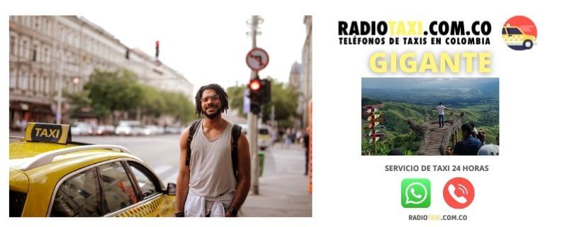 Números de Taxi en Gigante 10 servicio de taxi gigante