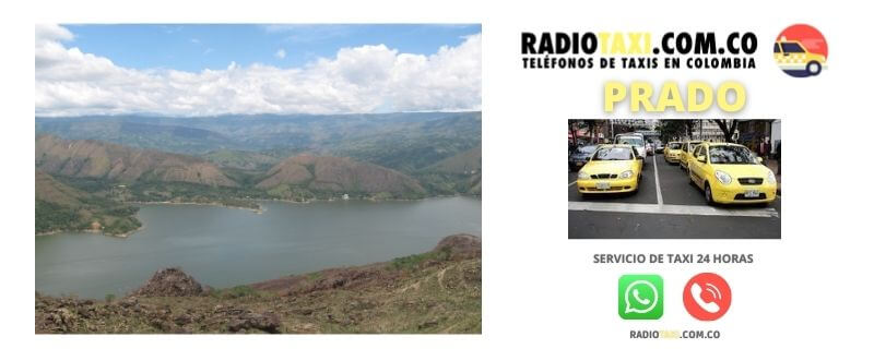 servicio de taxi prado