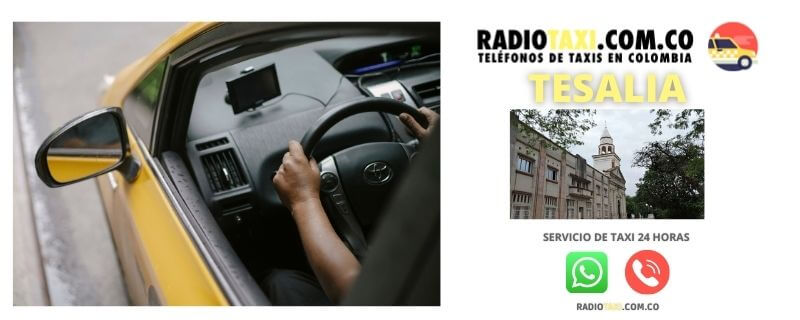 servicio de taxi tesalia