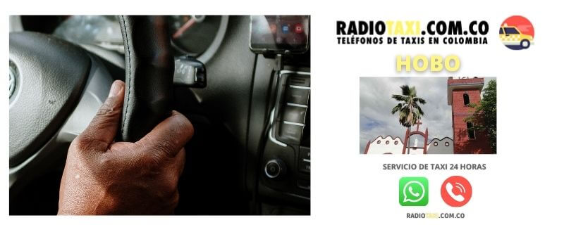 servicio taxi hobo
