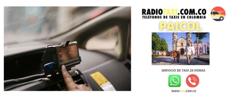 Números de Taxi en Paicol 4 servicio taxi paicol