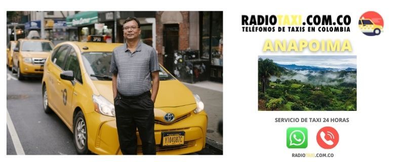 telefono taxi anapoima
