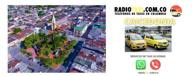 Números de Radio Taxi en Caicedonia 42 telefono taxi caicedonia
