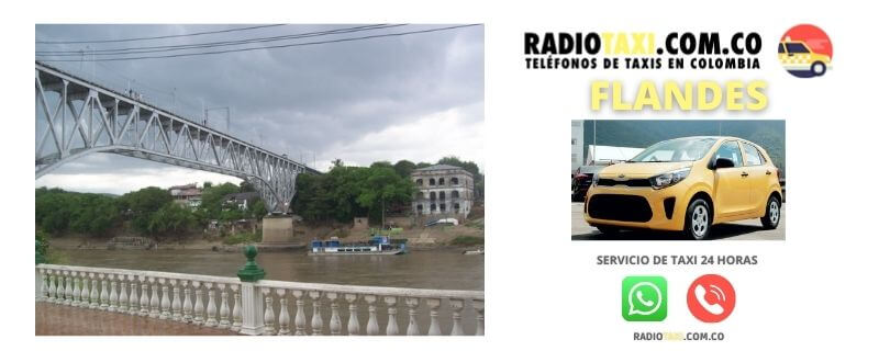 telefono taxi flandes