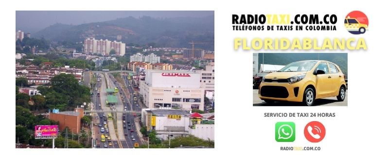 telefono taxi floridablanca
