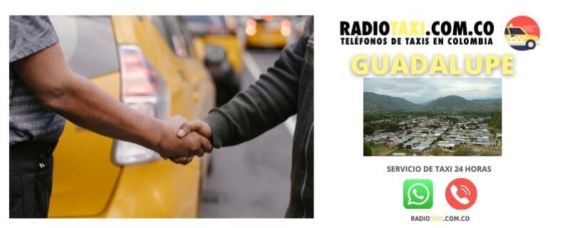telefono taxi guadalupe