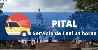 telefono taxi pital