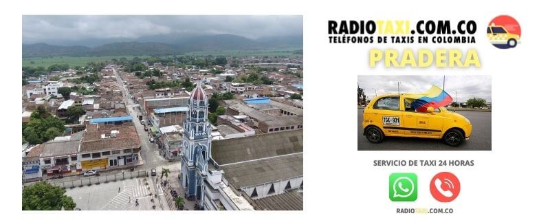 telefono taxi pradera