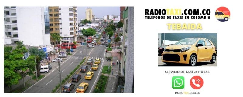 Números de Taxi en La Tebaida 6 telefono taxi tebaida