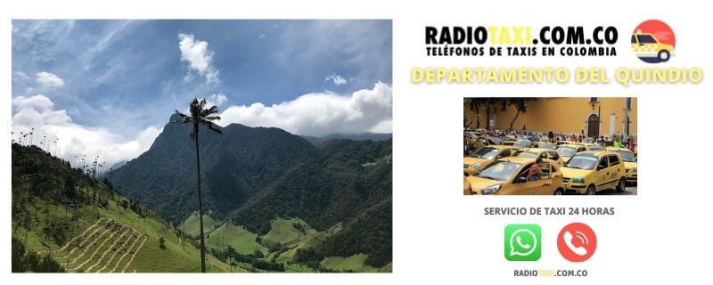 telefonos taxi quindio