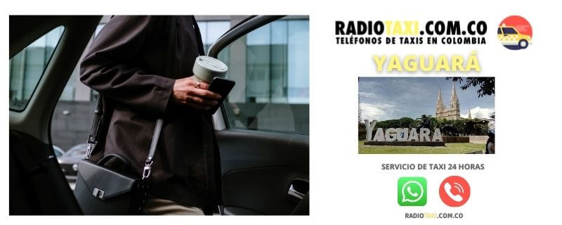 teléfono taxi yaguara