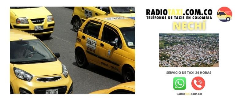 whatsapp nechí taxi