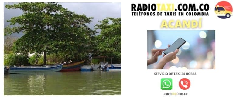 Números de Taxi en Quibdó 2 whatsapp taxi Acandí