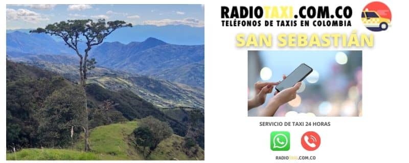 Números de Taxi en San Sebastián 4 whatsapp taxi San Sebastián