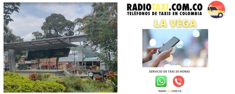 whatsapp taxi la vega