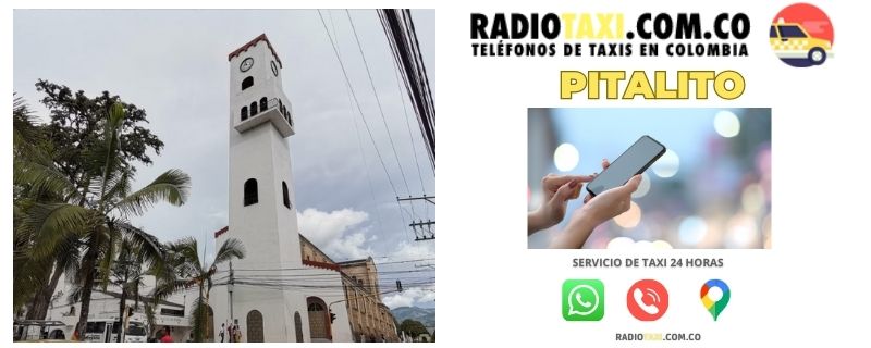 whatsapp taxi pitalito